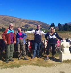 5 cardrona bra fence otago nz2