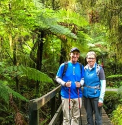 Greenery on Milford Track