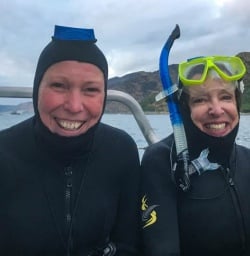 Kaikoura dolphin swim