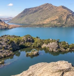 Mou Waho Island, Wanaka Otago New Zealand