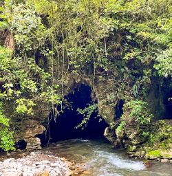 5. Waitomo caving