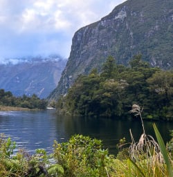Exploring the Milford Track in New Zealand