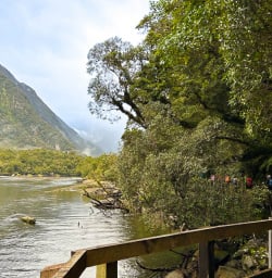 Exploring the Milford Track
