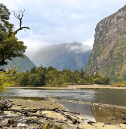 Milford Track hiking tours