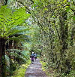 Milford Track hiking tours2