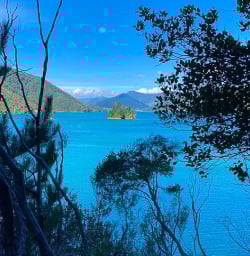 New Zealand hiking tours on the Nydia Track