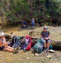 Nydia Track hiking adventure tours 