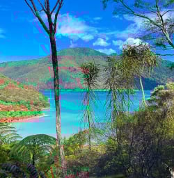 Nydia Track hiking and walking tours