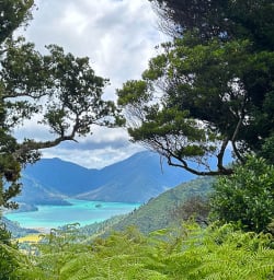 Nydia Track hiking tours with New Zealand Trails 