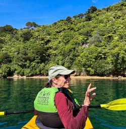 Queen Charlotte Sound Marlborough Vineyards 02 December 2024 3