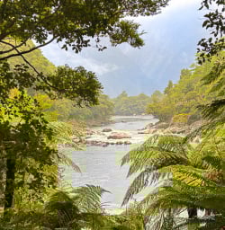 Venturing on the Milford Track