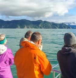 Boat tour at Kaikoura, Canterbury New Zealand