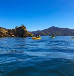 Calm water Queen Charlotte Sound