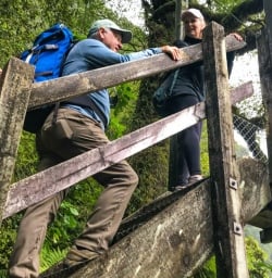 Climbing up to Hollyford Swing Bridge