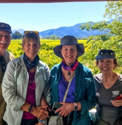 Marlborough region vineyard