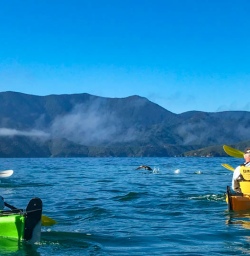 Queen Charlotte Sound