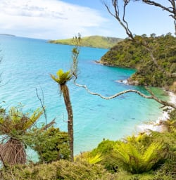 Rakiura bay views copy