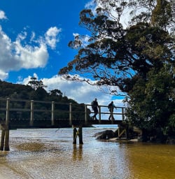 Adventure tours to Stewart Island