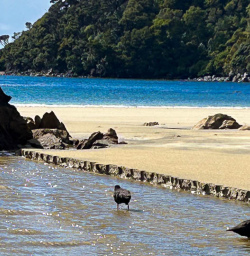 Guided Hiking Tours