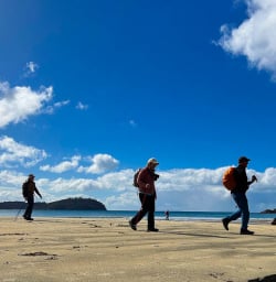 New Zealand walking tours 