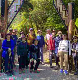Paporoa National Park 