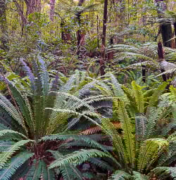 Stewart Island adventure hiking tours