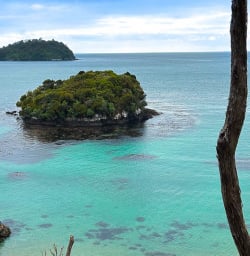 Stewart Island adventures 