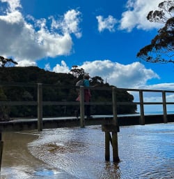 Stewart Island