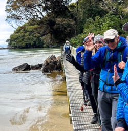 Stewart Island