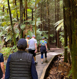 Whakarewarewa forest hiking tour 