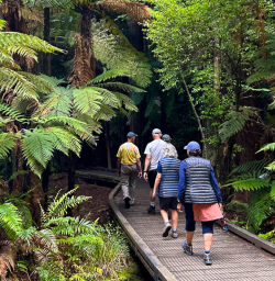 Whakarewarewa forest small group tour 