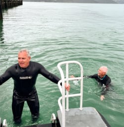 7. Guests climbing out of water dolphin swim