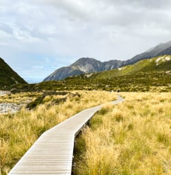 7. Hooker Valley boardwalk