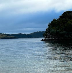 Hiking tours to Ulva Island 