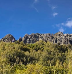 Summers day in Mount Cook National Park