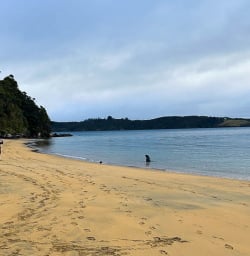 Ulva Island