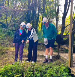 Waitomo Caves 