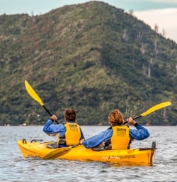 Kayaking the Queen Charlotte Sounds, Marlborough New Zealand
