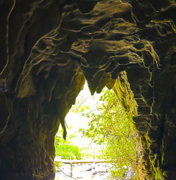 Entrance to Waitomo Caves 