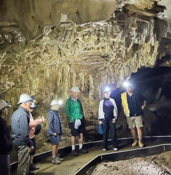 Waitomo Caves 