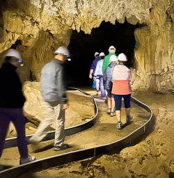 Waitomo Caves tour 