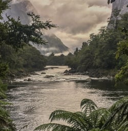 Arthur river, Fiordland New Zealand