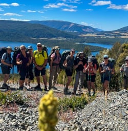 Group hiking tour to Bushline Hut K03MAR25