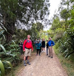 Guests enjoying Pureora Forest Walks 200125