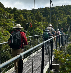 Guests hiking in Egmont National Park 200125