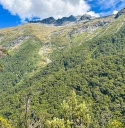Guests hiking in Mount Aspiring National Park 130124 10