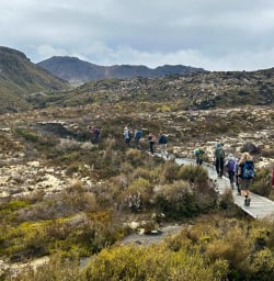 Guests hiking in Tongariro National Park 200125
