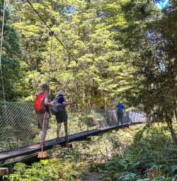 Guests hiking the Kepler Track 130124 10