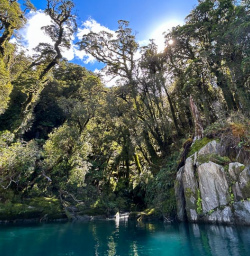 Haast pass hiking tour K03MAR25