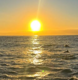 Kaikoura sunrise M10MAR25
